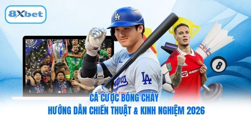 Cá Cược Bóng Chày – Hướng Dẫn Chiến Thuật & Kinh Nghiệm 2026
