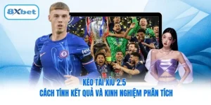Kèo Tài Xỉu 2.5 – Cách Tính Kết Quả Và Kinh Nghiệm Phân Tích