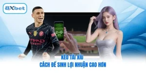 Kèo Tài Xỉu - Cách Để Sinh Lợi Nhuận Cao Hơn