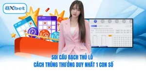 Soi Cầu Bạch Thủ Lô - Cách Trúng Thưởng Duy Nhất 1 Con Số